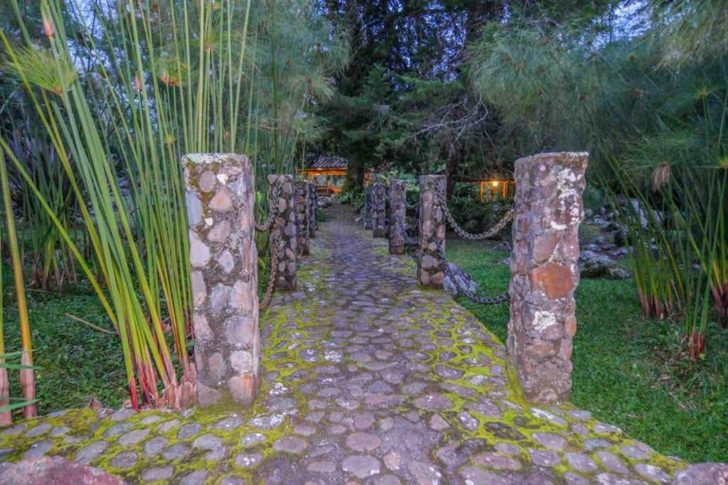 Finca Punta De Piedra Salento, Quindio Villa Buitenkant foto