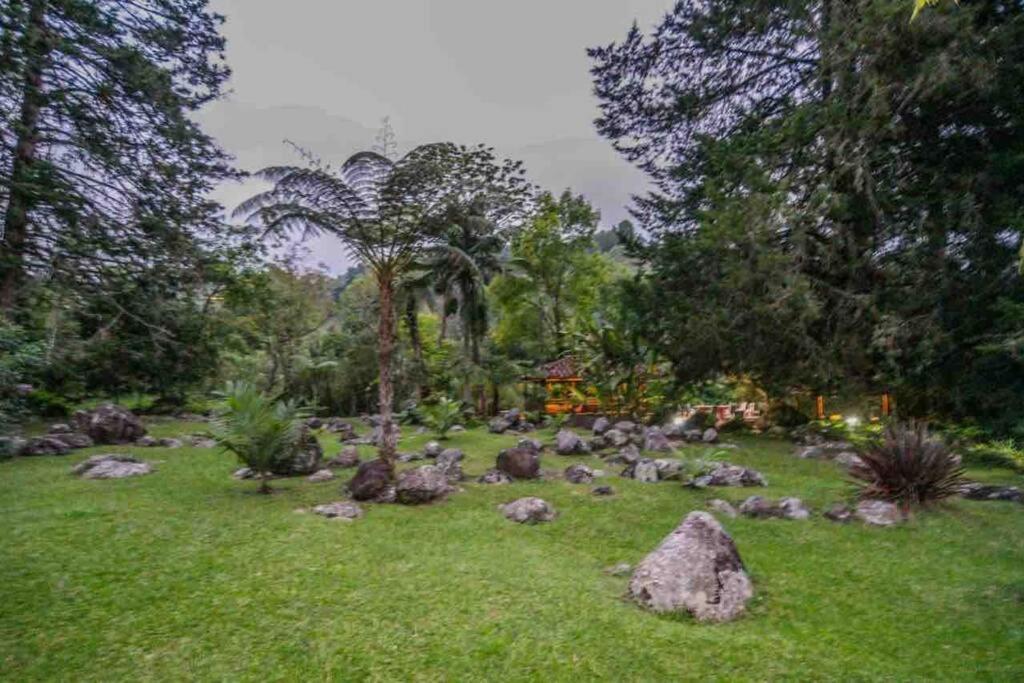 Finca Punta De Piedra Salento, Quindio Villa Buitenkant foto