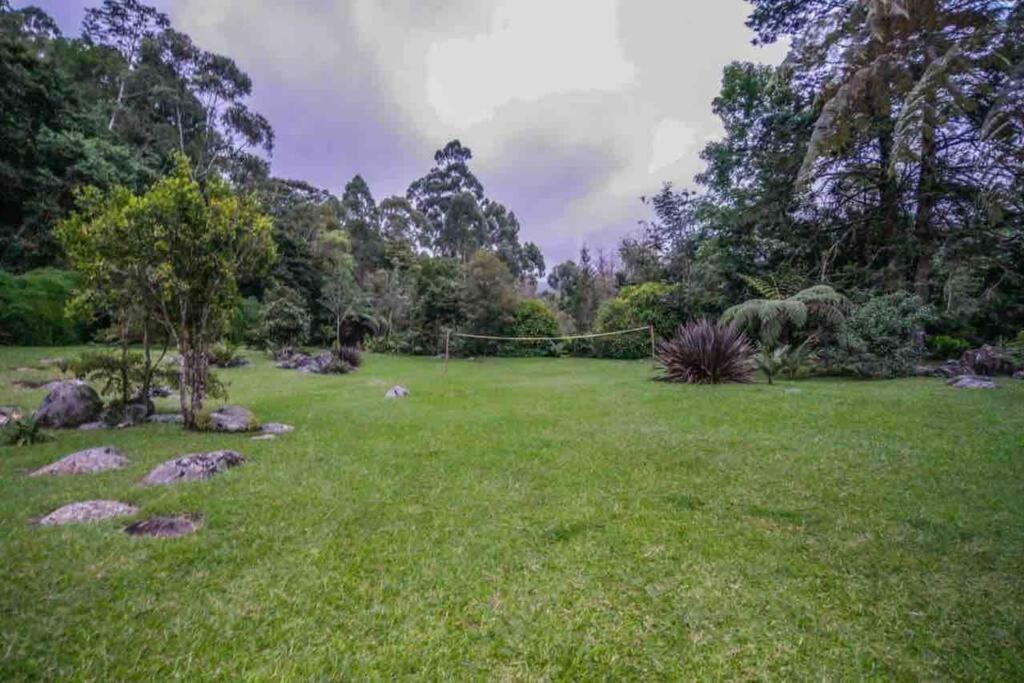 Finca Punta De Piedra Salento, Quindio Villa Buitenkant foto