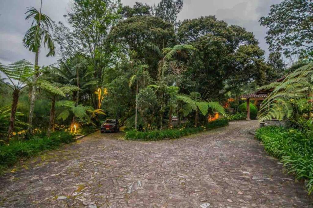 Finca Punta De Piedra Salento, Quindio Villa Buitenkant foto